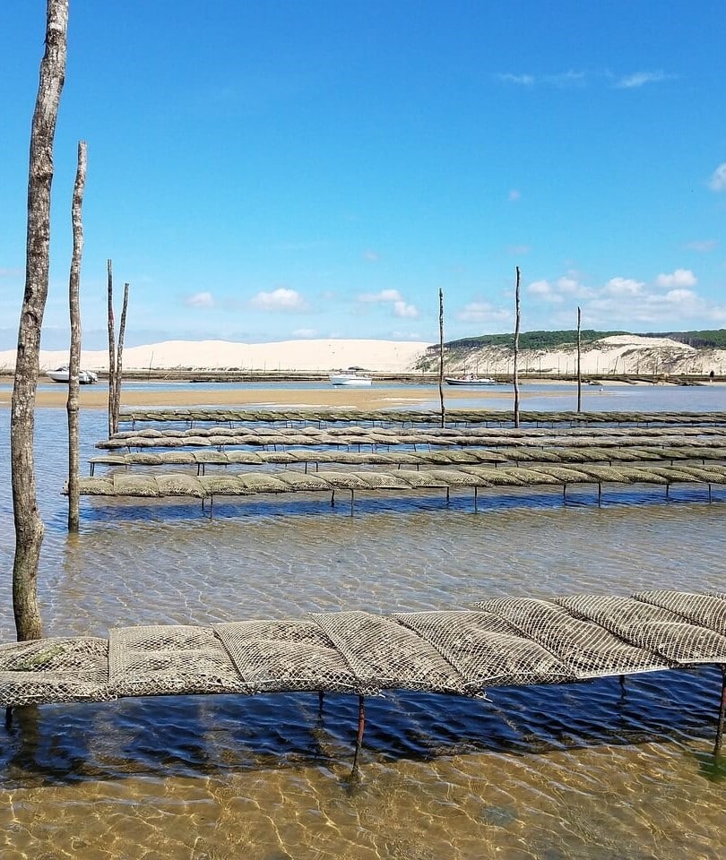 arcachon basin 2736099 1280 1